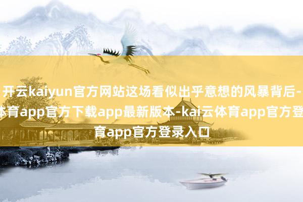 开云kaiyun官方网站这场看似出乎意想的风暴背后-kai云体育app官方下载app最新版本-kai云体育app官方登录入口