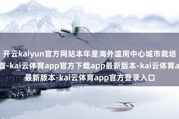 开云kaiyun官方网站本年是海外滥用中心城市栽培征战的第五个岁首-kai云体育app官方下载app最新版本-kai云体育app官方登录入口