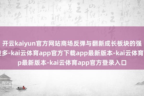 开云kaiyun官方网站商场反弹与翻新成长板块的强劲回升令其受益良多-kai云体育app官方下载app最新版本-kai云体育app官方登录入口